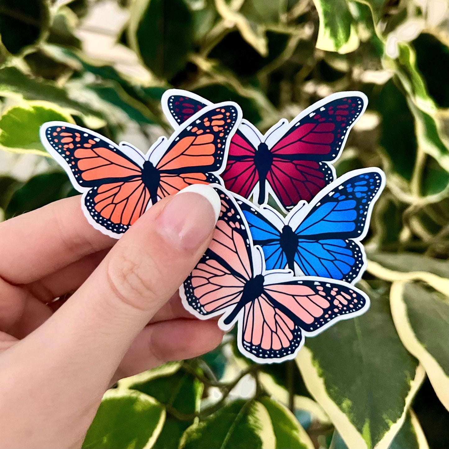 Butterfly Sticker Pack