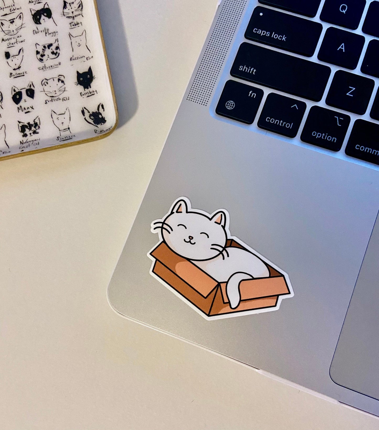Cat in a Box Sticker