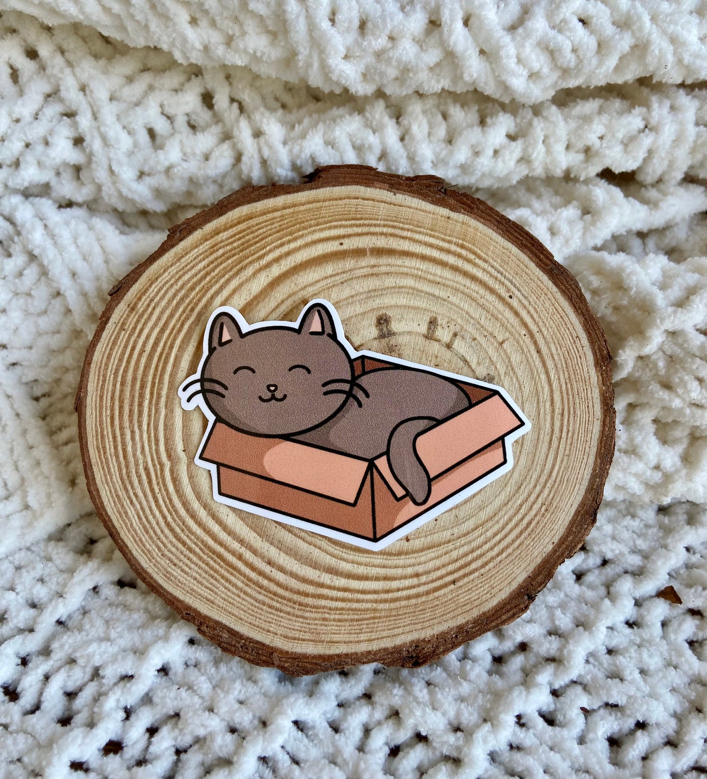 Cat in a Box Sticker