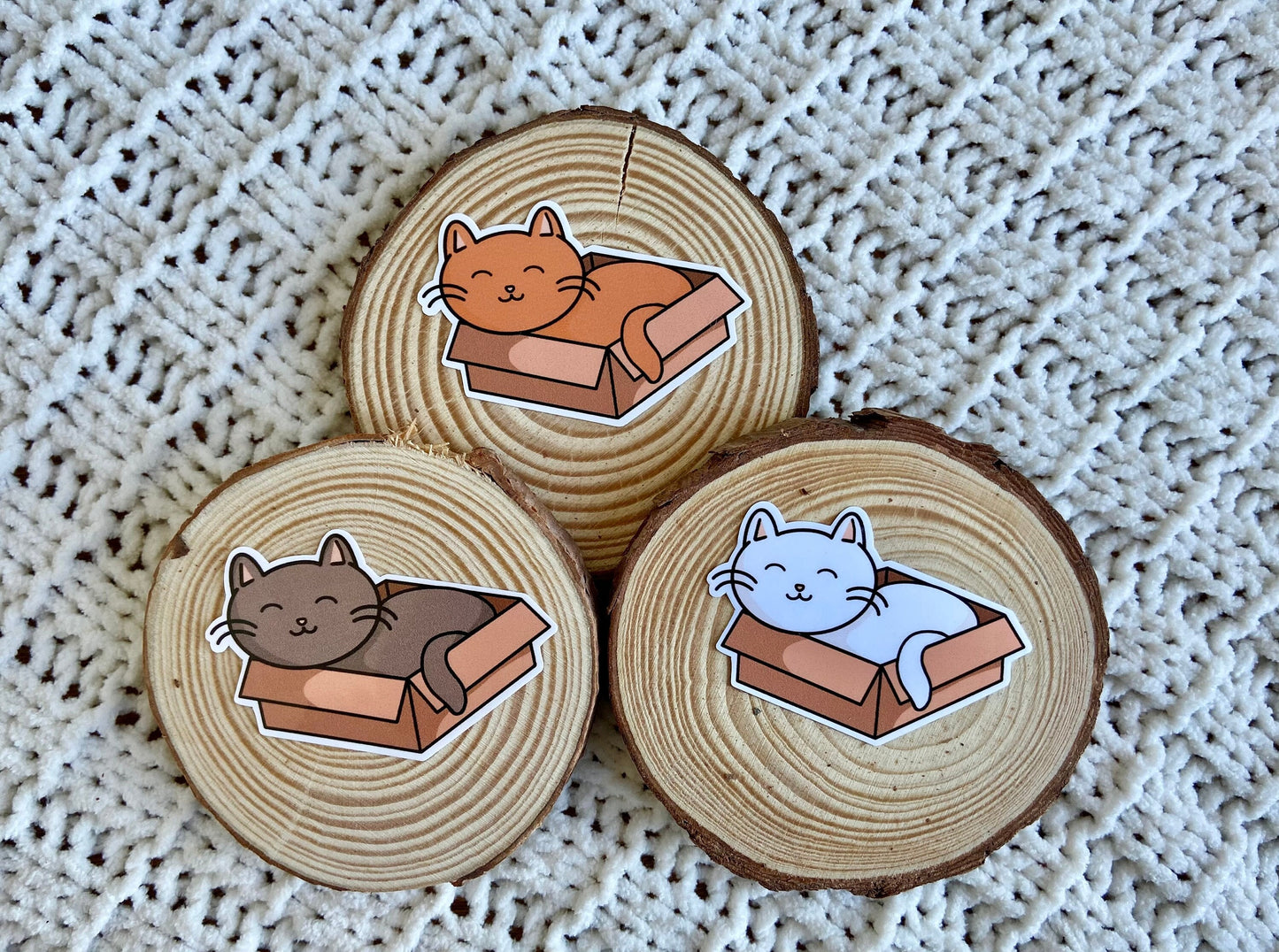 Cat in a Box Sticker